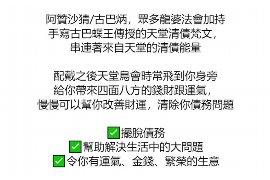 娄底为什么选择专业追讨公司来处理您的债务纠纷？